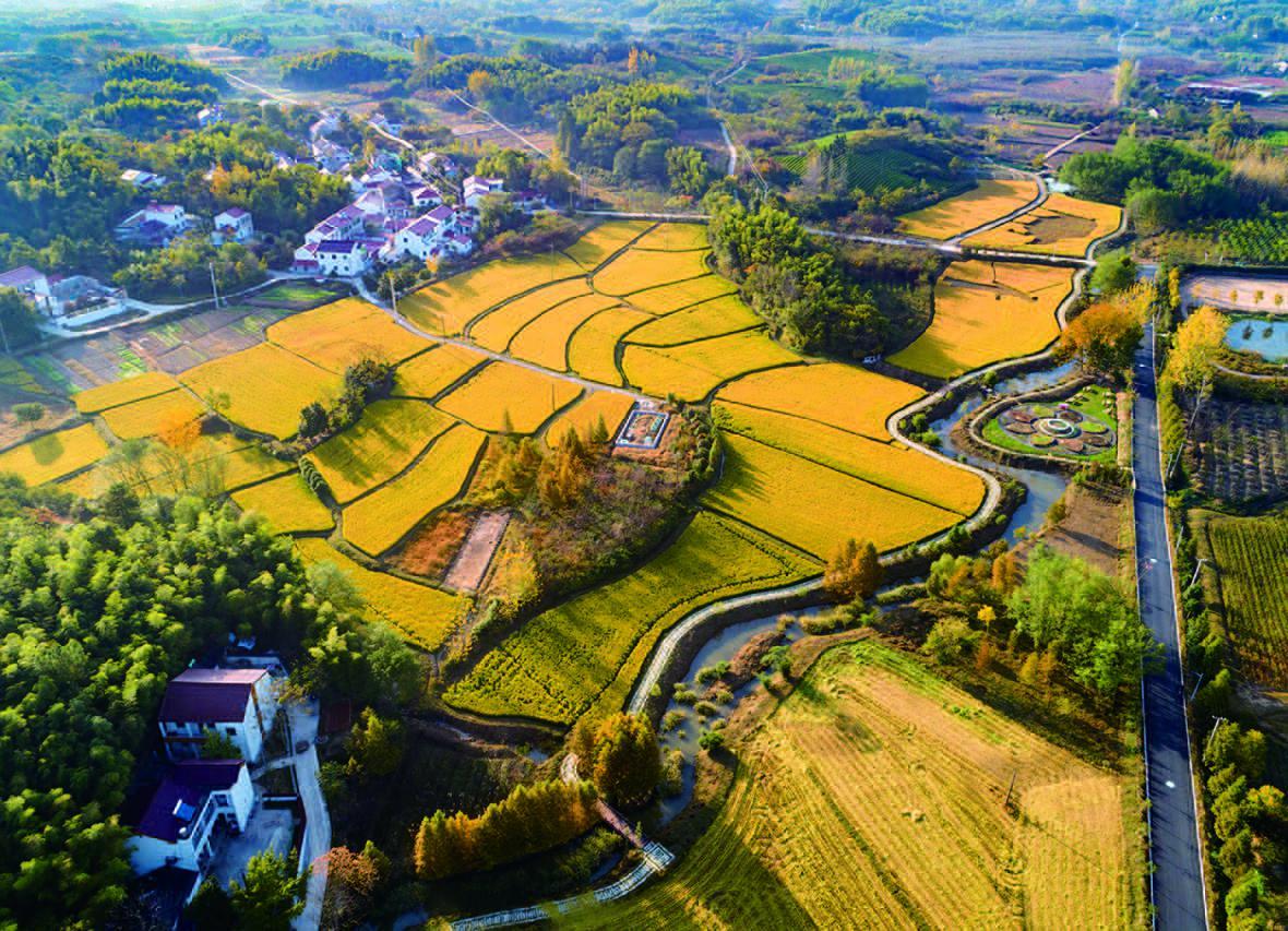 疫情之下旅游业的期待与探索，何时能迎来旅游业的全面开放？