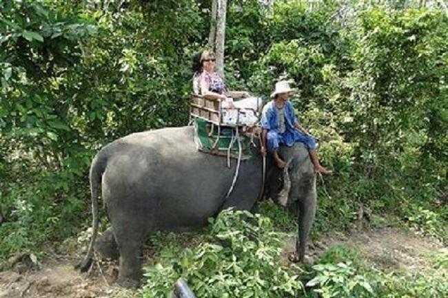 疫情之下旅游业的期待与探索，何时能迎来旅游业的全面开放？