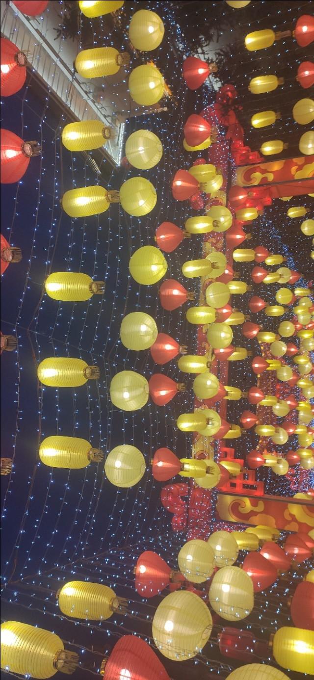疫情结束后的开放之路与未来展望