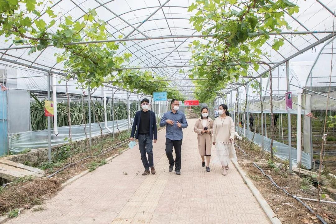 疫情全面开放时间预测，未来之路展望与趋势分析