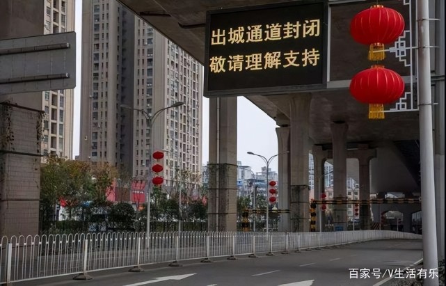 武汉封城始末，静默时刻的回望