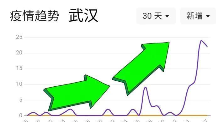武汉疫情始起时间与影响概述