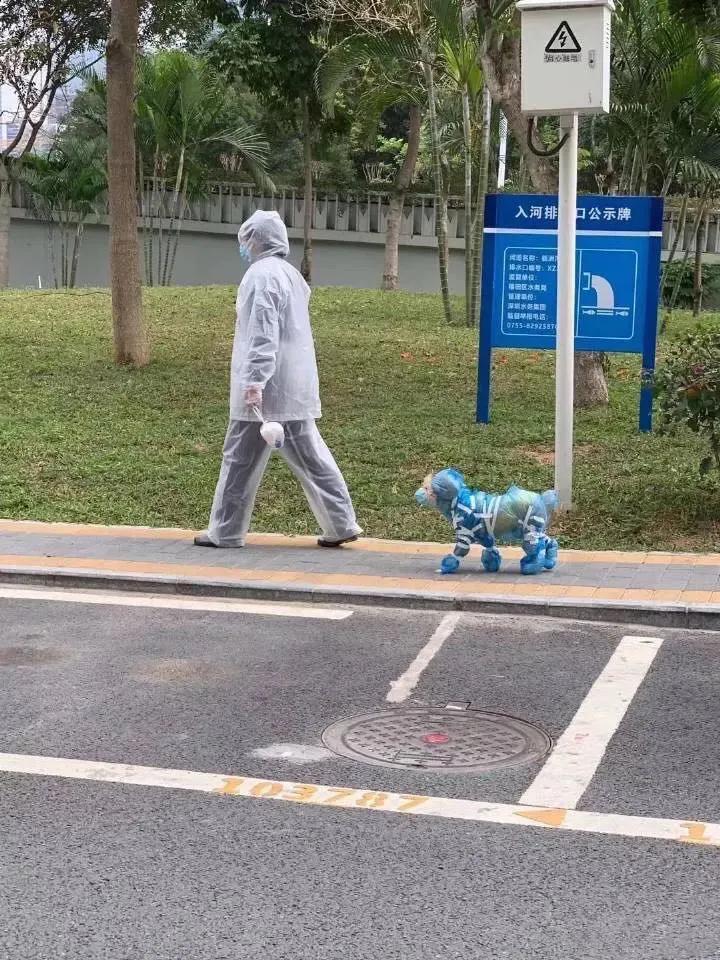 武汉新一轮疫情起始时间与影响概述