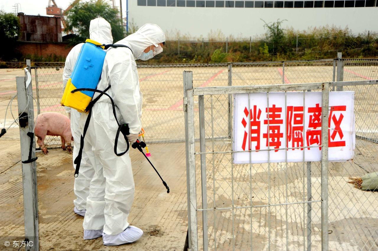疫情解除时间与多重因素交织分析