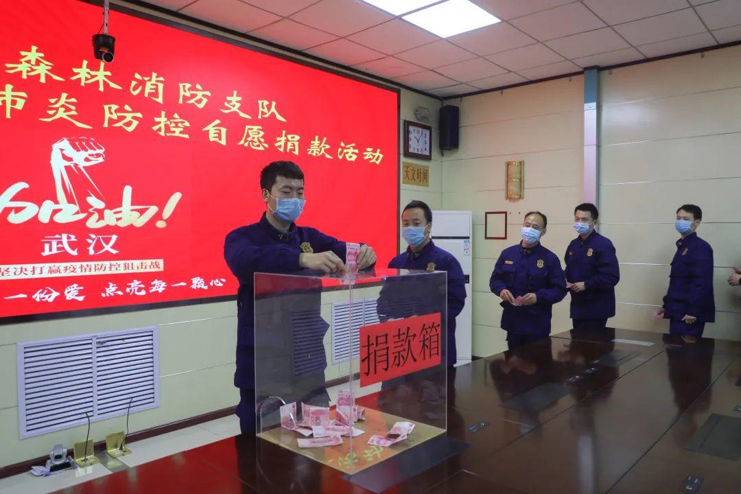 疫情爆发之际的挑战与希望回望