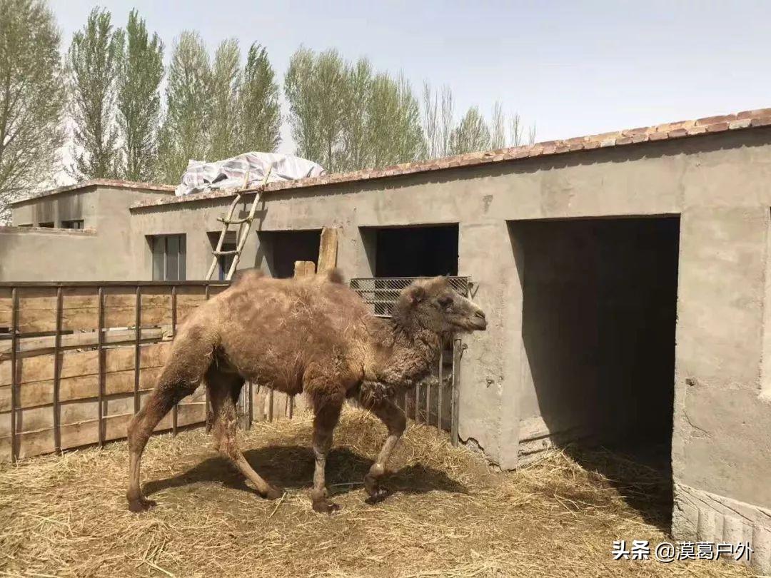 疫情爆发时间探究，回顾与反思