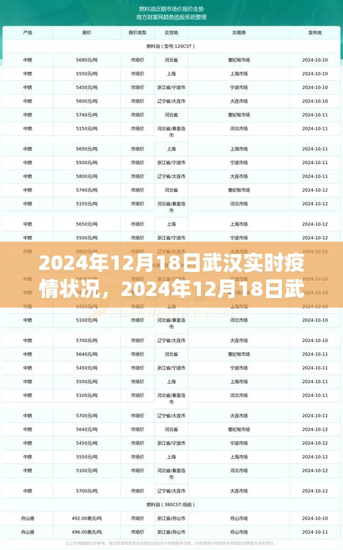武汉疫情现状观察与未来展望，2024年的观察与展望