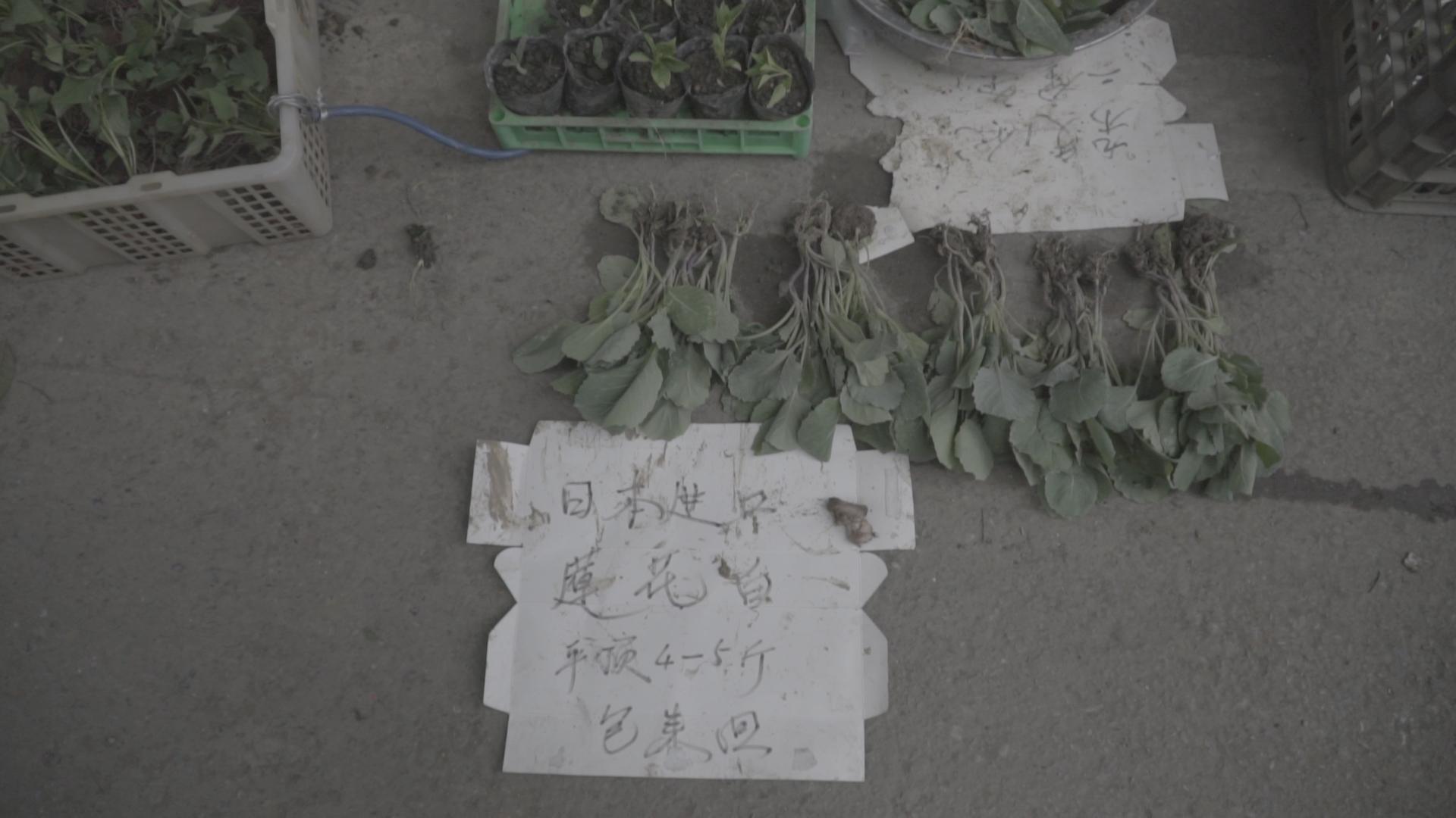 成都疫情回顾与反思，时间线梳理分析