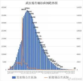 武汉疫情回顾与预测，共同记忆下的历史、科学与人类之路