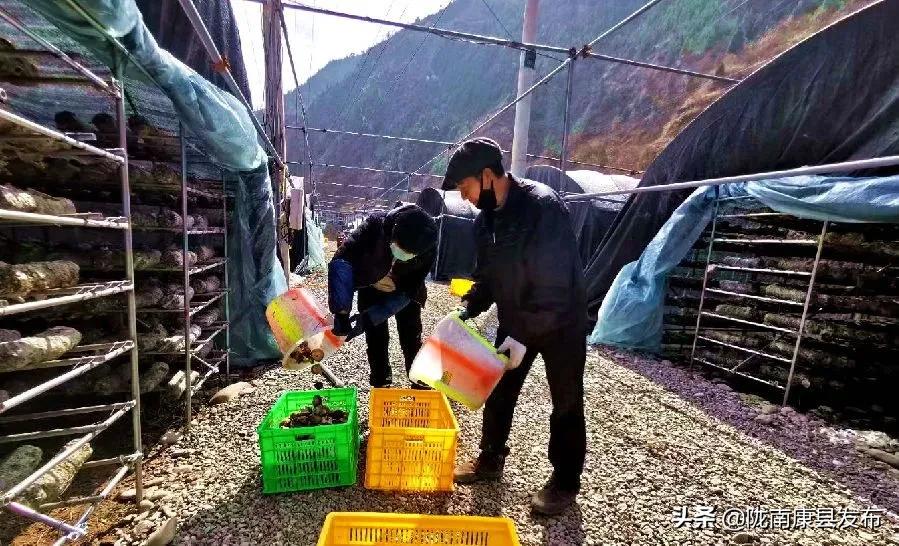 各地疫情结束时间表公布，新希望照亮前行路