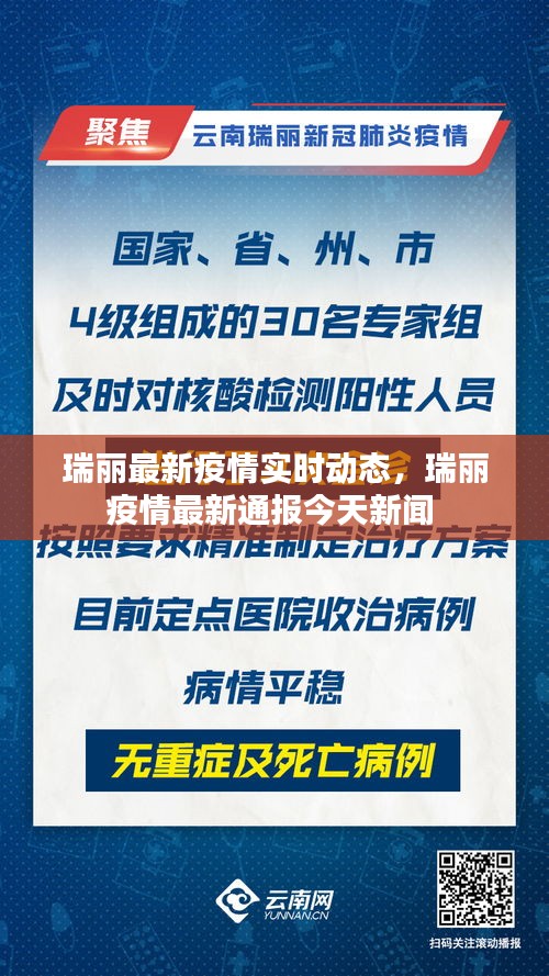 瑞丽疫情最新动态，现状解析与未来展望