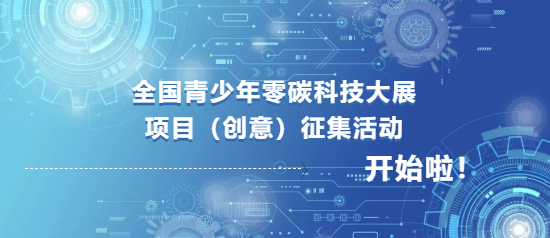 瑞丽疫情背后的病毒谜团，探寻真相与应对策略