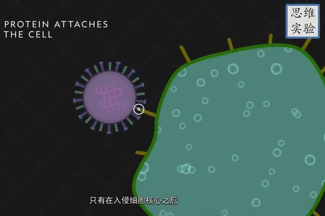 疫情始末，人类与病毒的较量