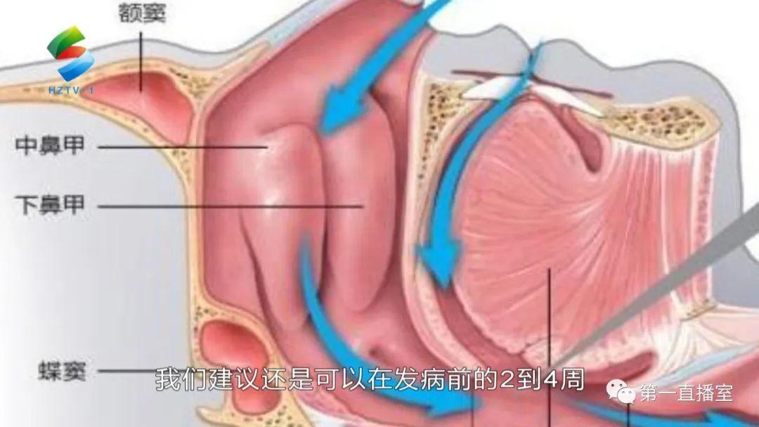 疫情始于何时，回顾与反思