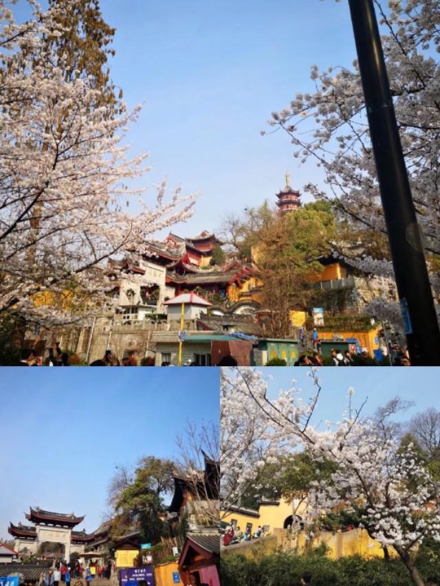 南京疫情始末时间概述