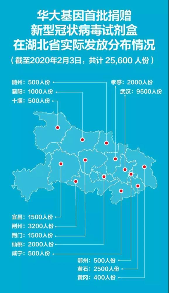 疫情起源时间与地点关系的深度探究