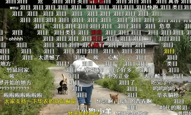 疫情放开，回首过往，前瞻未来