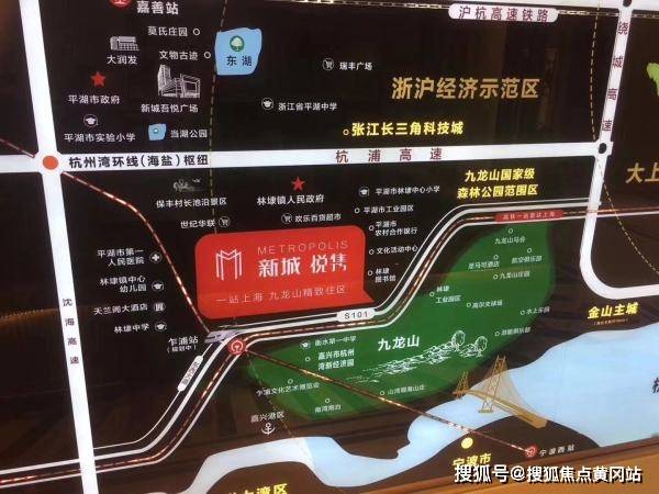淄博市疫情最新消息全面解读与分析