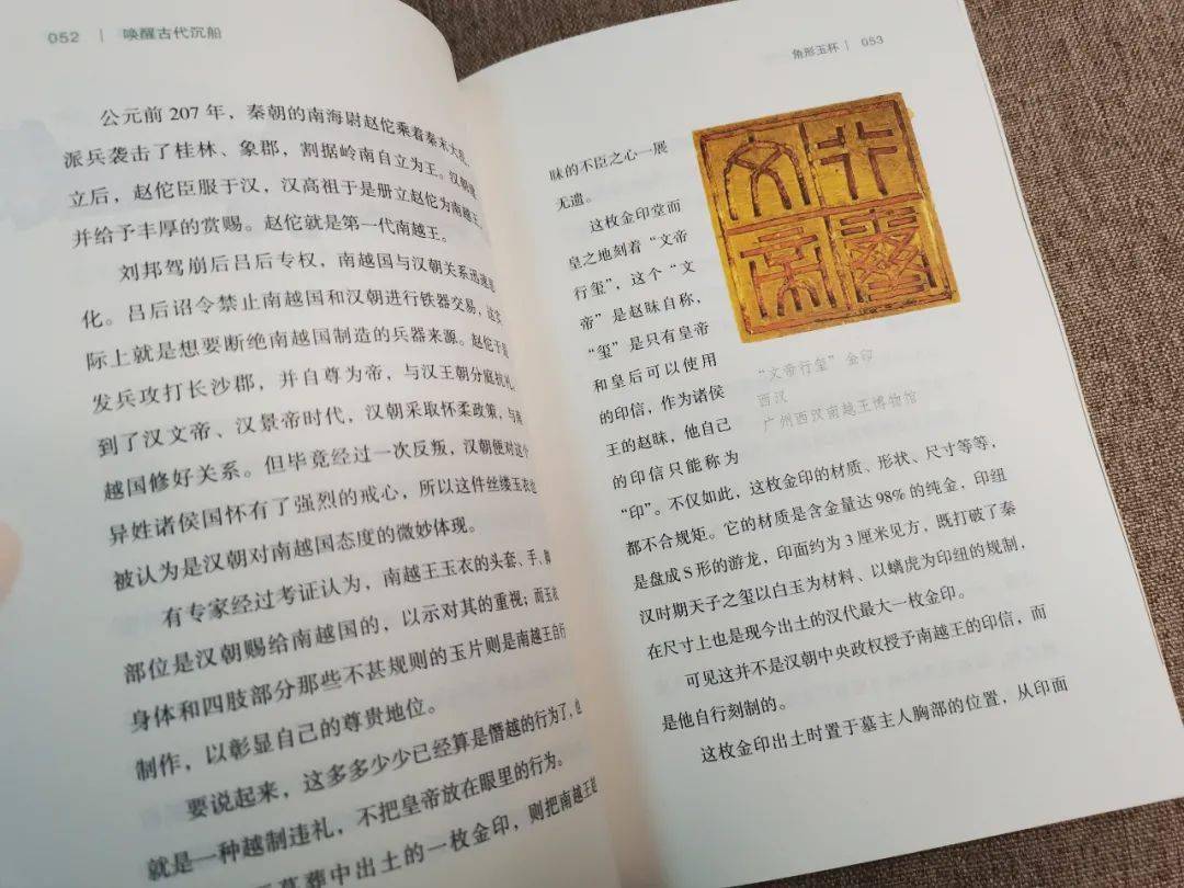 疫情下的封城封路，历史与现实交织的反思