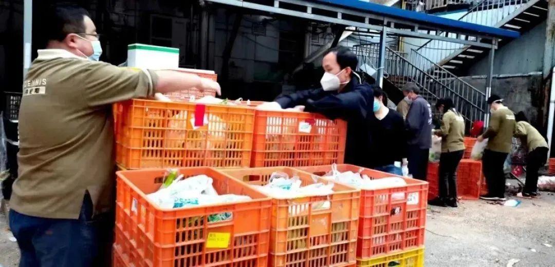 疫情解封之路，回顾历程，前瞻未来
