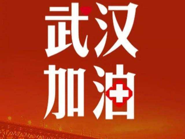 武汉疫情，一场突如其来的公共卫生挑战于XXXX年XX月爆发