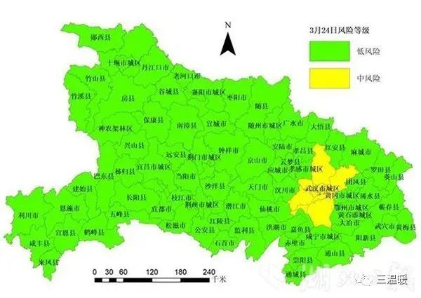 疫情解封之路，从寒冬到复苏的转折点解析