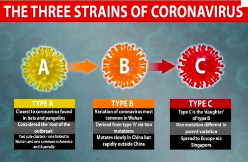 探究新冠病毒起源，疫情起始时间揭秘