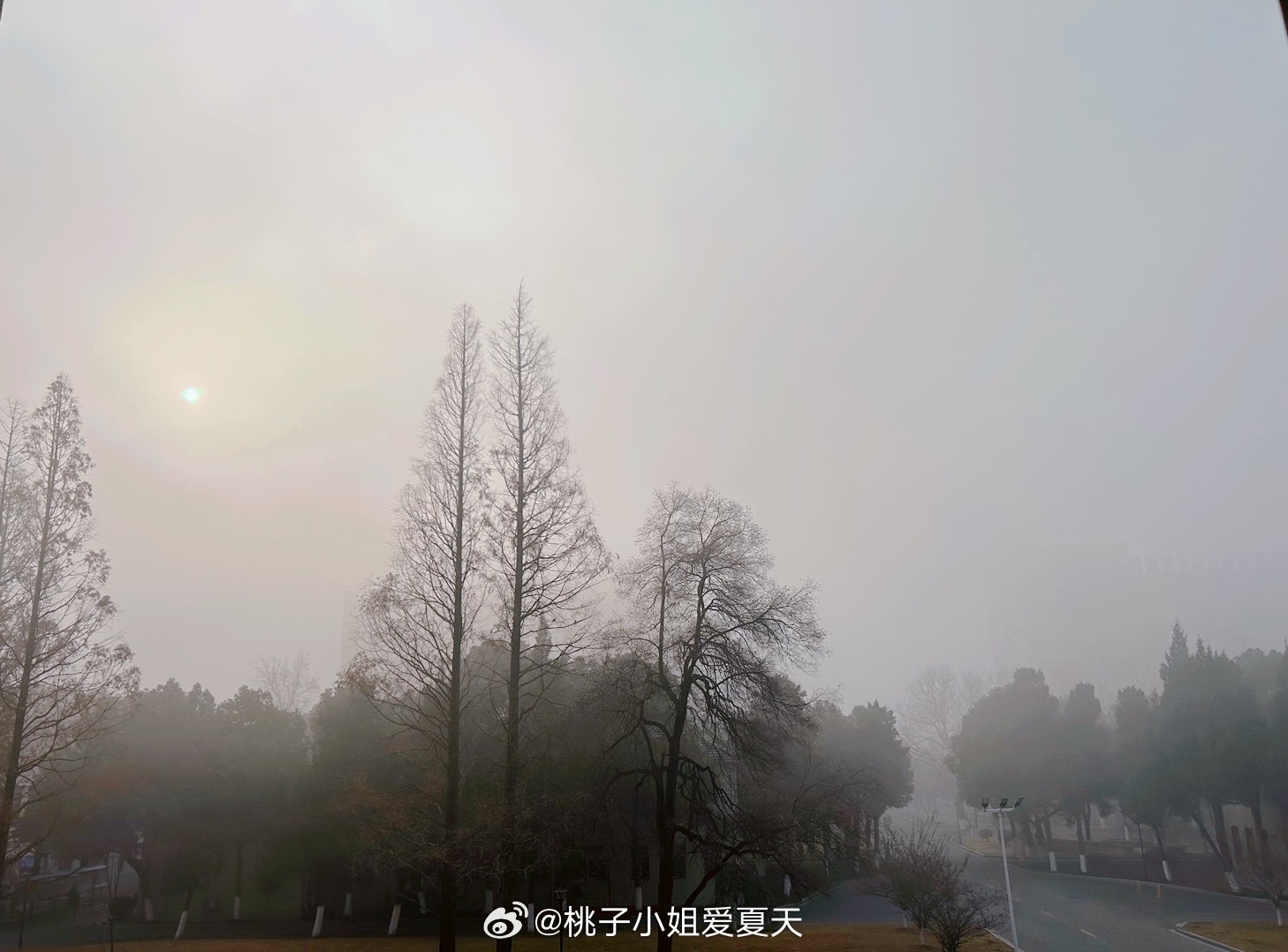 疫情三年，曙光初现还是阴霾依旧？