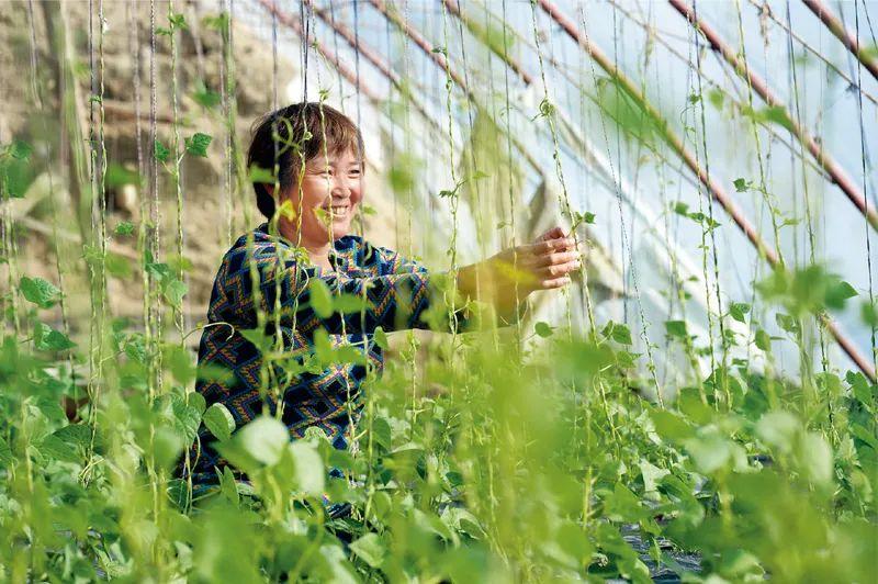 新疆疫情的挑战与应对，观察与反思（2020年3月）