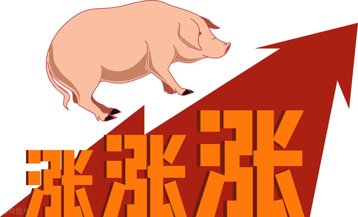 非洲疫情爆发年份与影响概述
