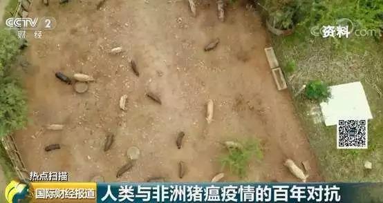 非洲疫情现状及其全球影响分析