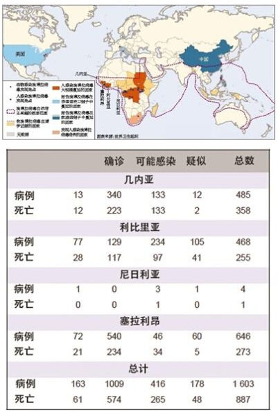 非洲疫情概览，主要疫情种类深度解析