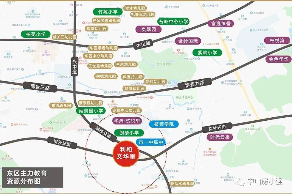 藁城疫情起源与演变概述