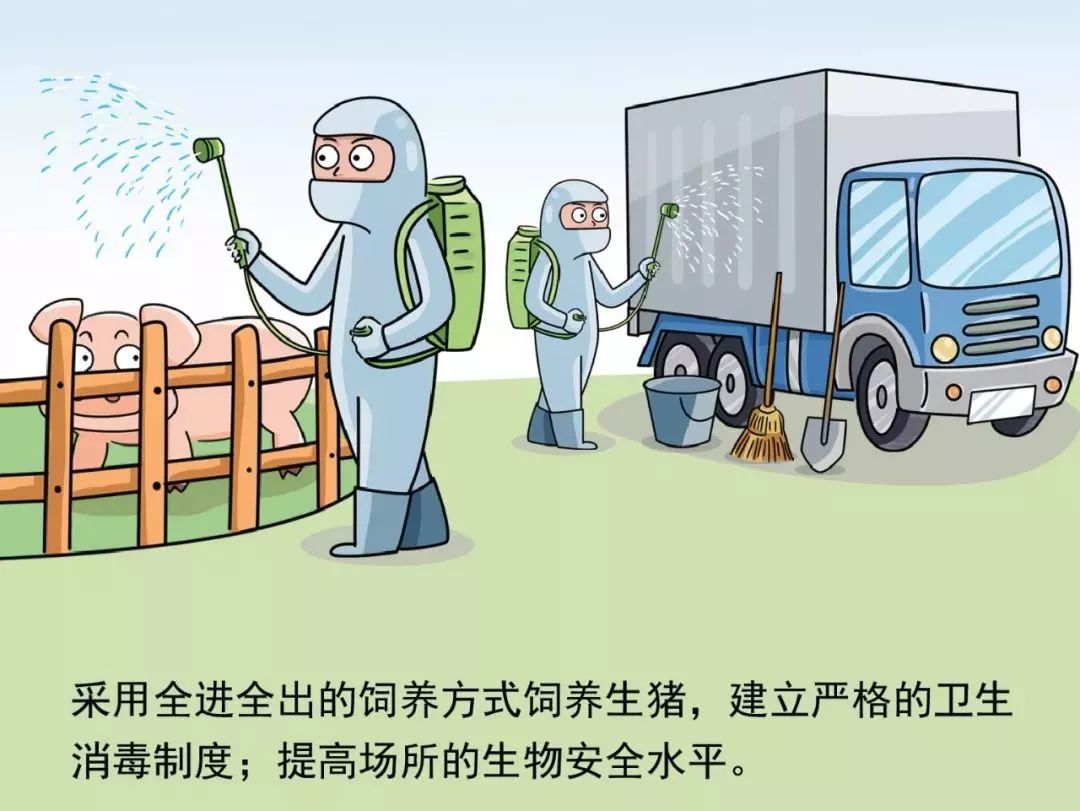 疫情起源探讨，从何处说起？