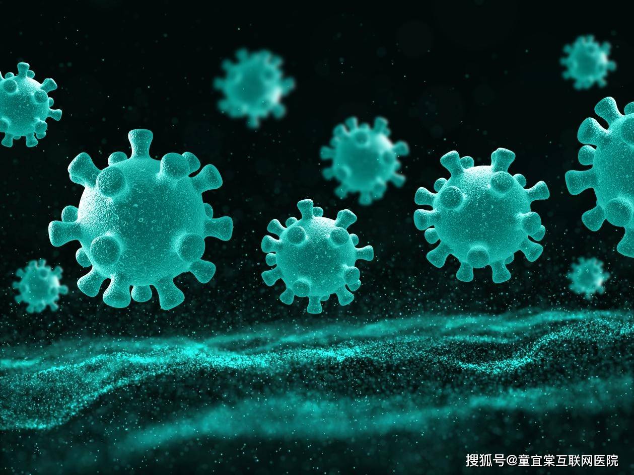 揭秘新冠病毒崛起与挑战，疫情背后的感染真相
