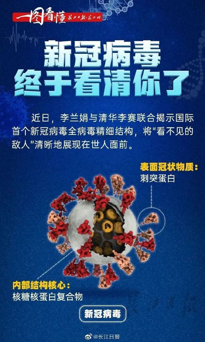 疫情揭秘，病毒神秘面纱与名字背后的故事