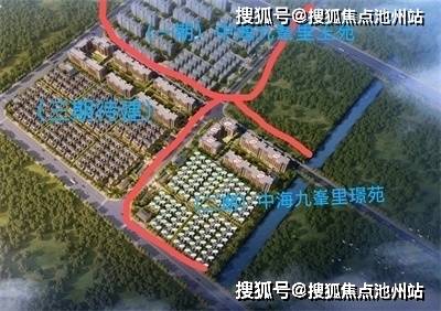 疫情背后的神秘病毒面纱，揭示疫情起因的真相探索