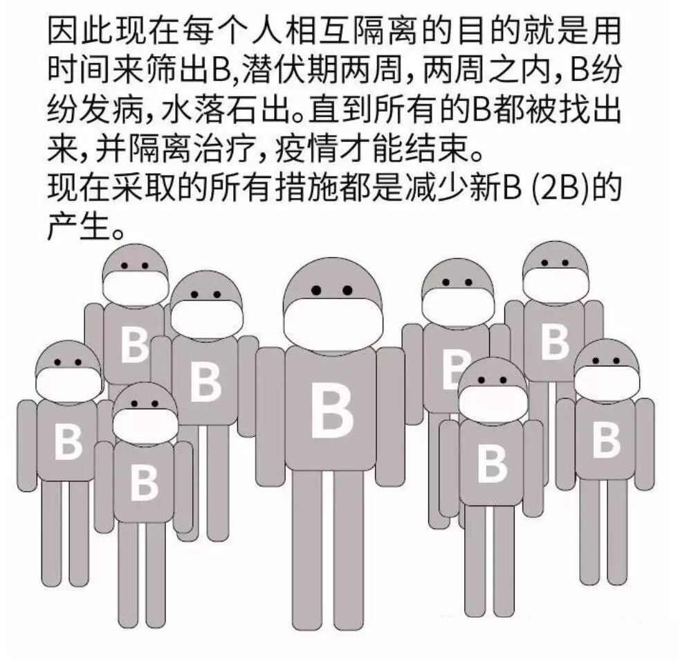 疫情背后的病毒传播真相探索揭秘