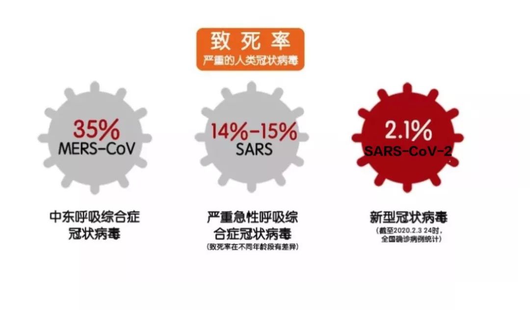 疫情类别与病毒解析，新型冠状病毒的特点及其对社会的深远影响