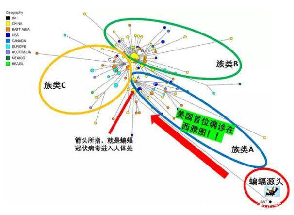 疫情病毒毒株名称、特性及其对全球的影响