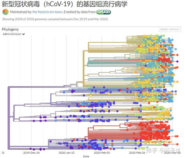 揭秘真相，关于疫情起源的深入研究与探讨（2020年疫情篇）