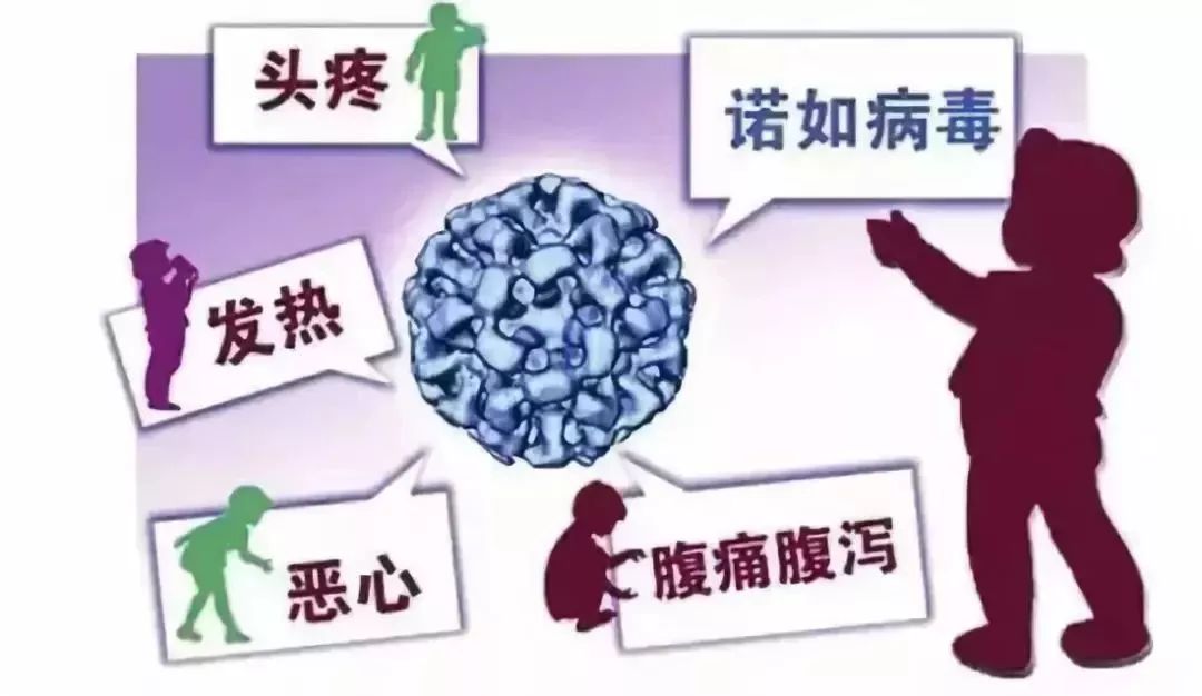 上次疫情，全球性病毒感染的挑战