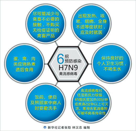 上次疫情，病毒起源及其影响概述