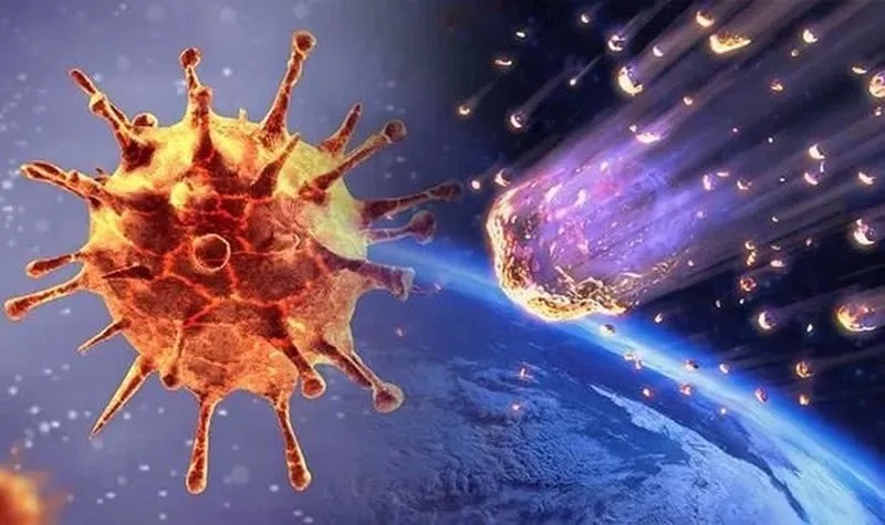 探究上次疫情病毒起源与原因，揭秘病毒起源背后的真相