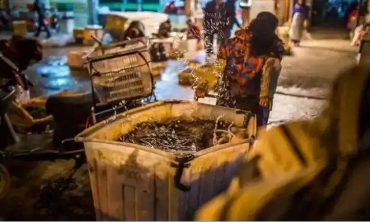 回顾与反思，去年疫情爆发的时刻