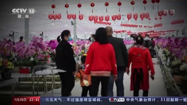 疫情始末，春节背后的故事