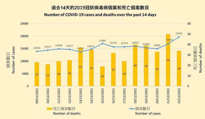 疫情放开时间节点及其对社会影响的深度探究