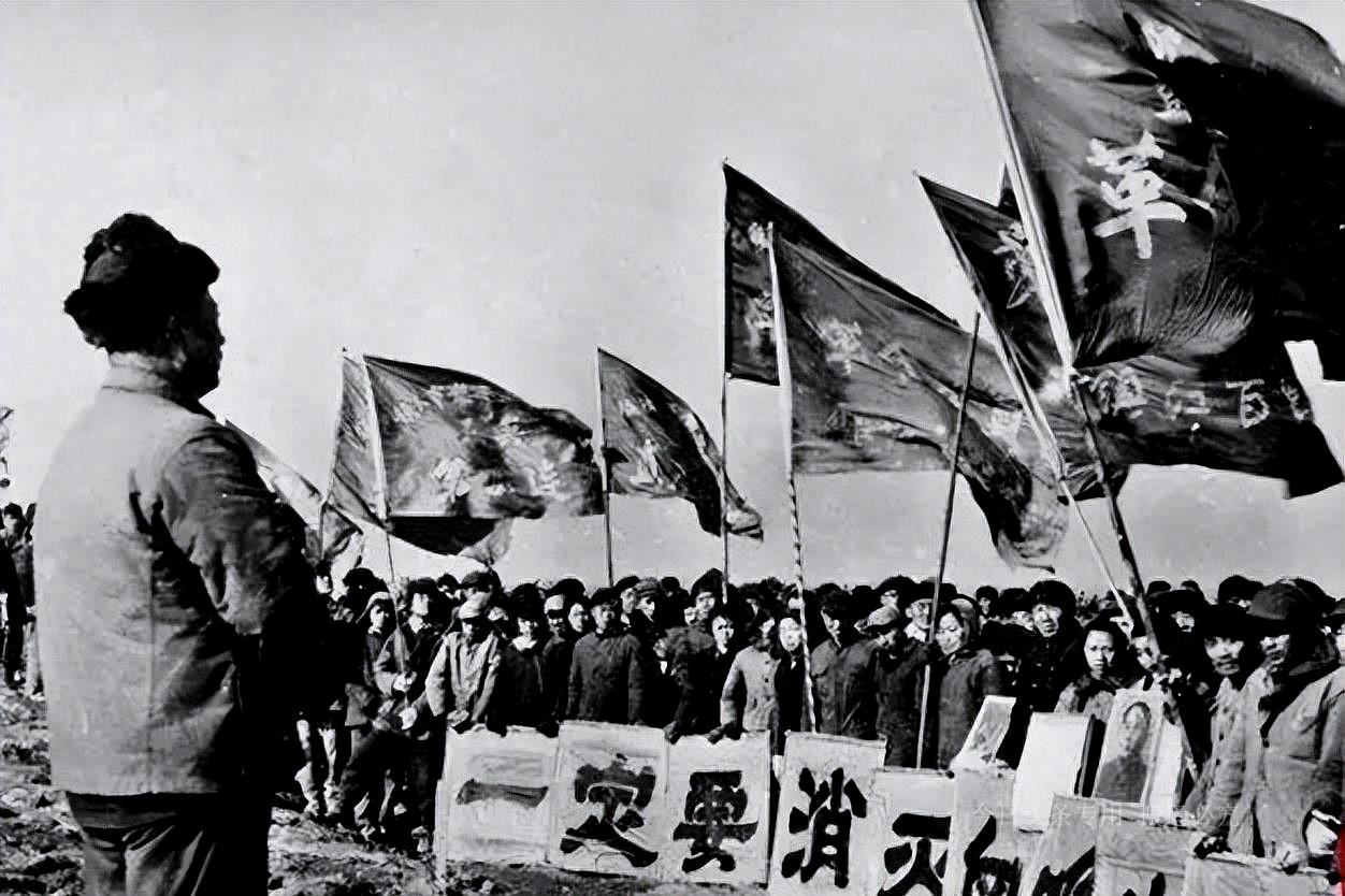 疫情起源与全球影响，回顾过去，展望未来
