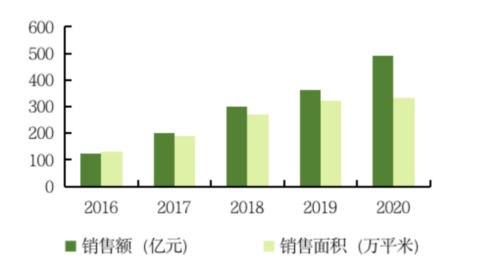 疫情开始的时间与影响，回顾过去，前瞻未来