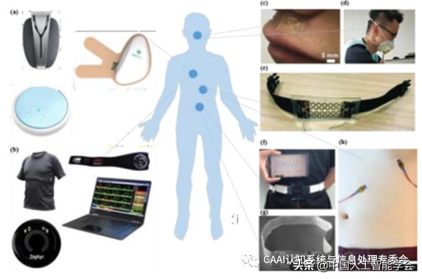 全球共同努力下的疫情结束时间展望